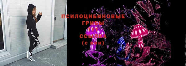 соль ск Михайловка