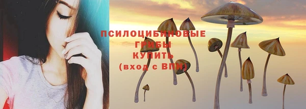 твердый Михайловск