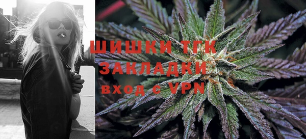 мяу мяу мука Михайлов