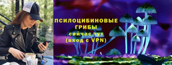 твердый Михайловск