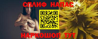 гидропоника Донской
