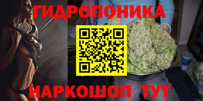 винт Дубна