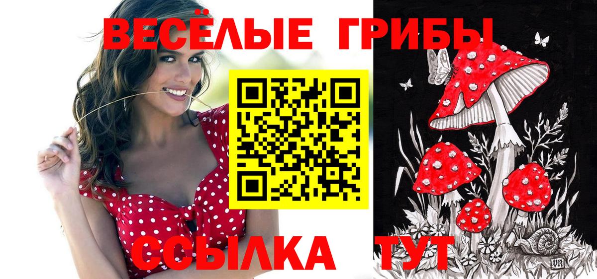Меф  Марихуана  Марихуана  Хэш  Рубцовск  Вход с VPN  Диски  ГАШИШ  КОКАИН 