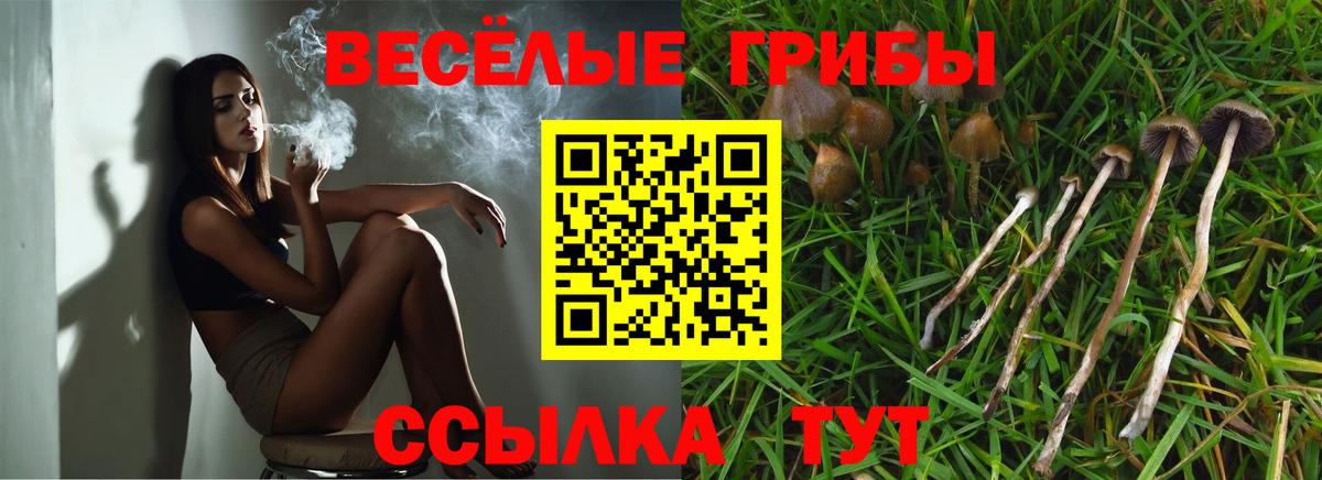 Галлюциногенные грибы ЛСД Рубцовск